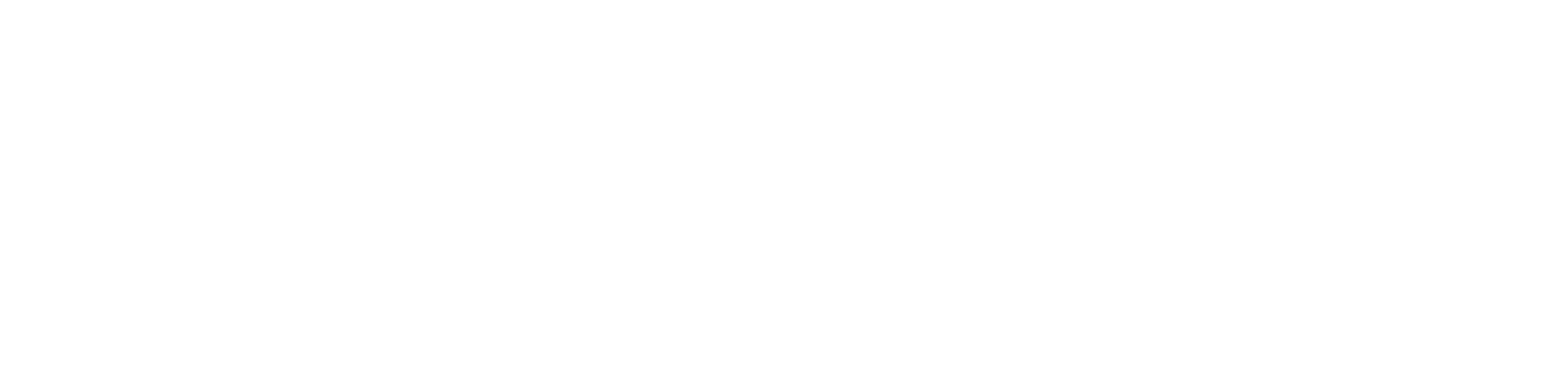 Anna Bendtsen Photography