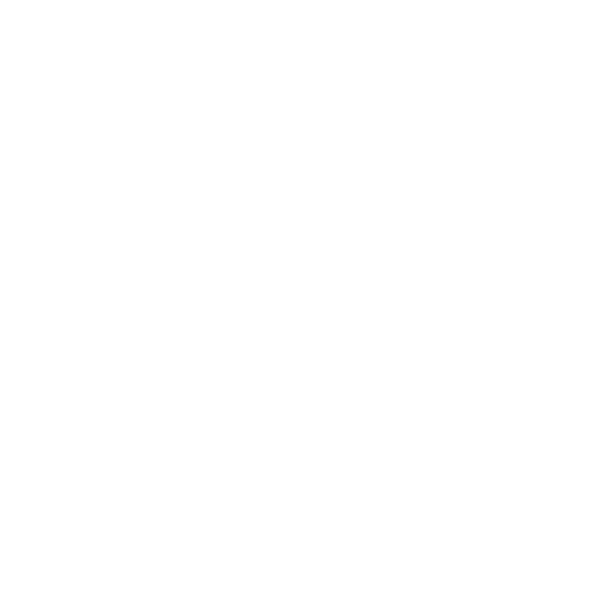 Anna Bendtsen Photography